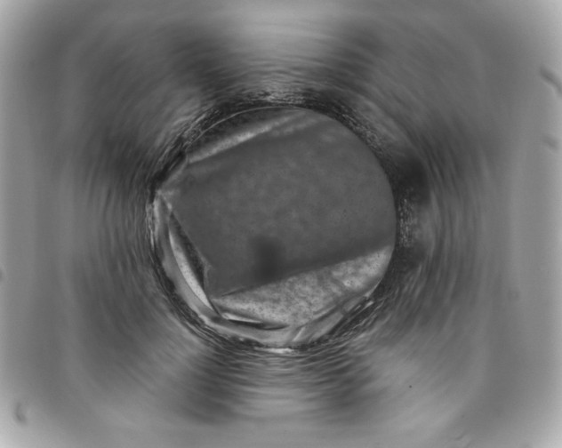 X0000096470748200802071856