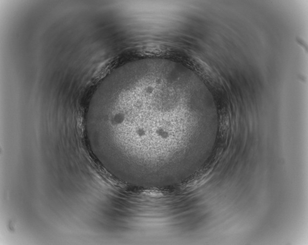 X0000096470749200802071856