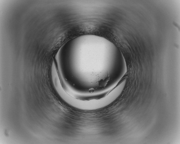 X0000096470750200802071856