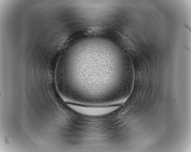 X0000096470751200802071856