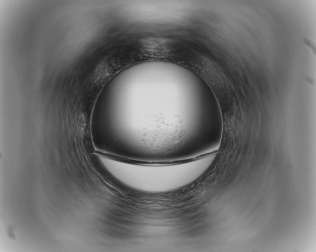 X0000096470752200802071856