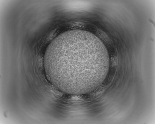 X0000096470753200802071856