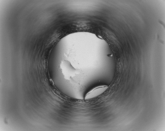 X0000096470756200802071856