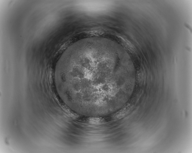 X0000096470757200802071856