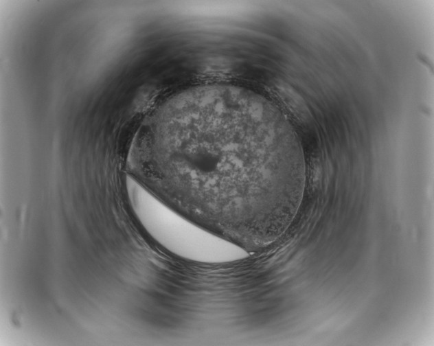 X0000096470759200802071856