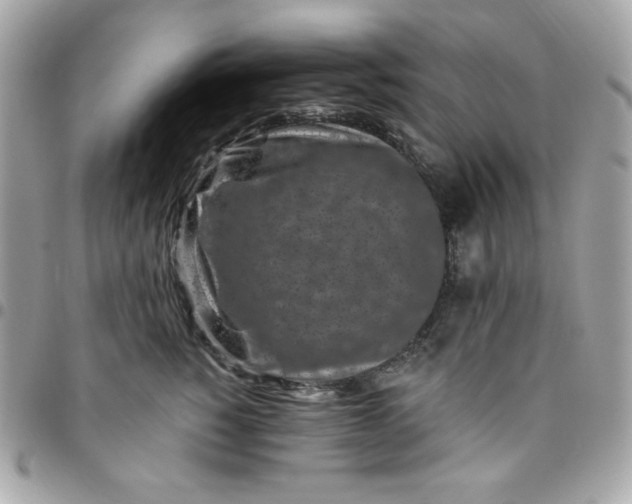 X0000096470760200802071856