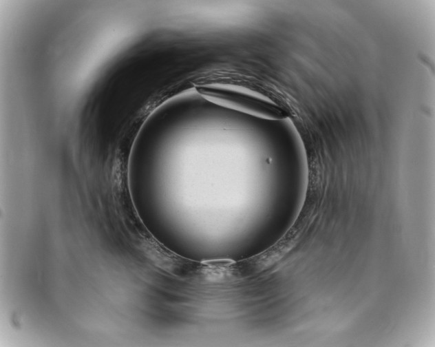 X0000096470762200802071856