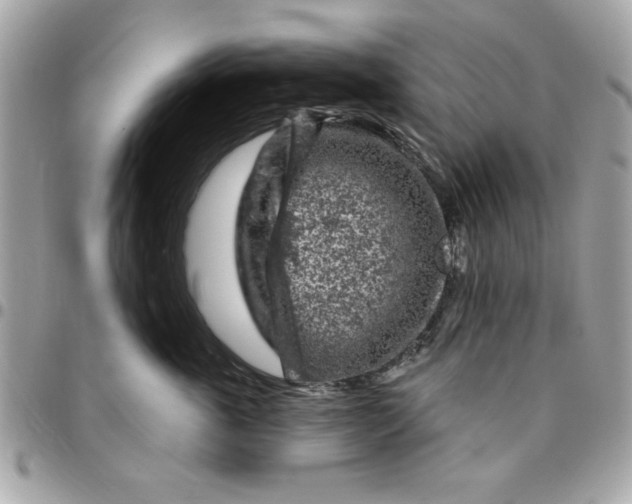 X0000096470763200802071856