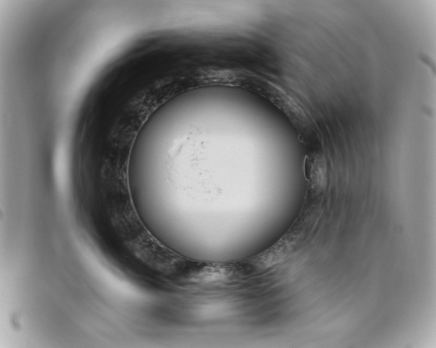 X0000096470764200802071856