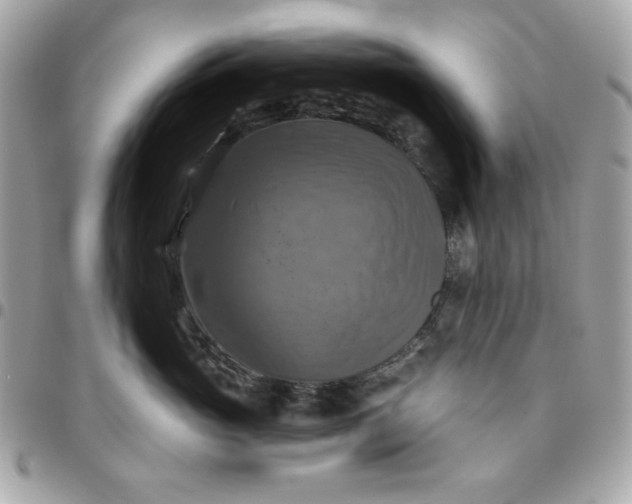 X0000096470765200802071856