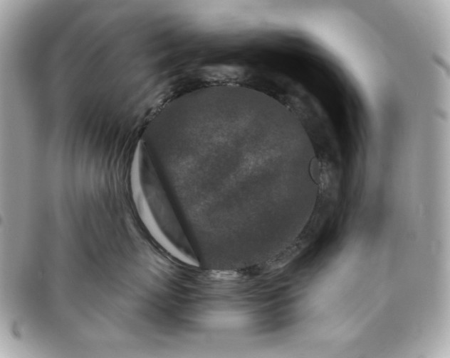 X0000096470767200802071856