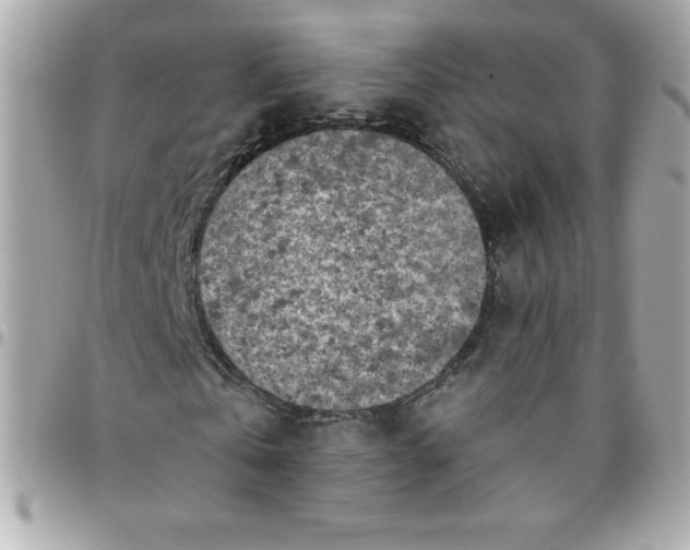 X0000096470769200802071856