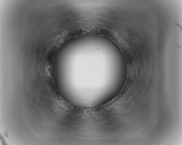 X0000096470770200802071856