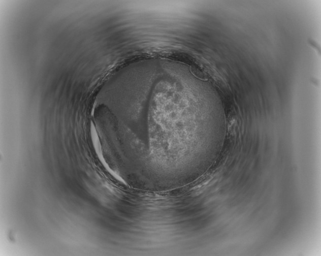 X0000096470772200802071856