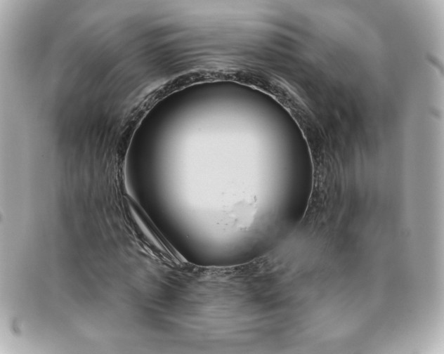 X0000096470773200802071856