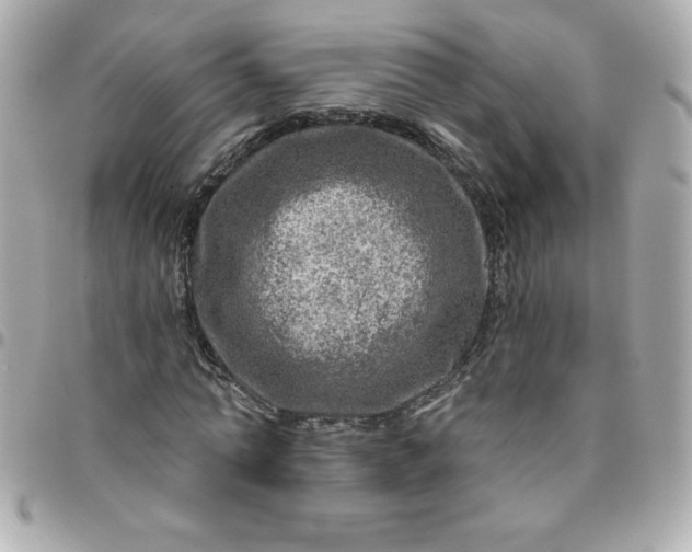 X0000096470774200802071856