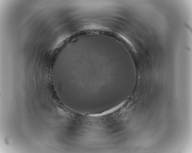 X0000096470775200802071856