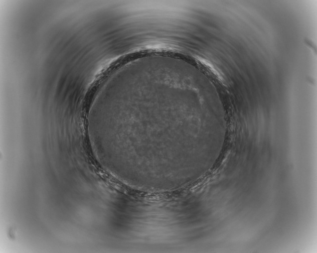 X0000096470776200802071855