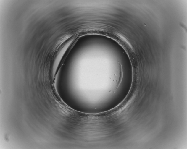 X0000096470777200802071855