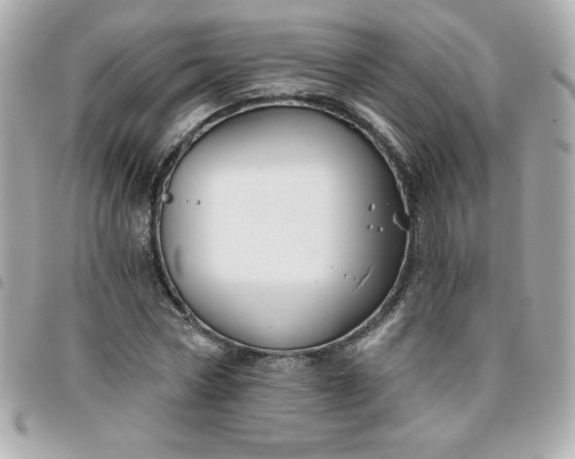 X0000096470778200802071855