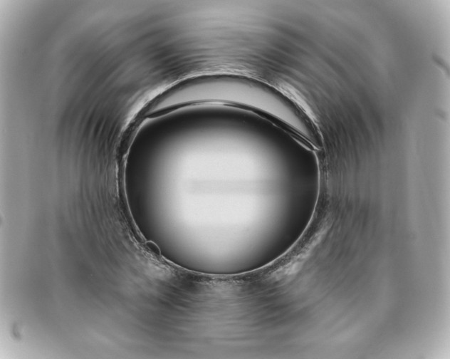 X0000096470781200802071855