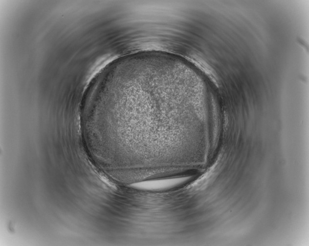 X0000096470782200802071855