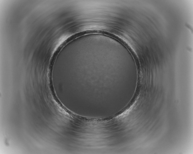 X0000096470783200802071855