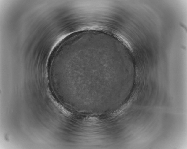 X0000096470784200802071855