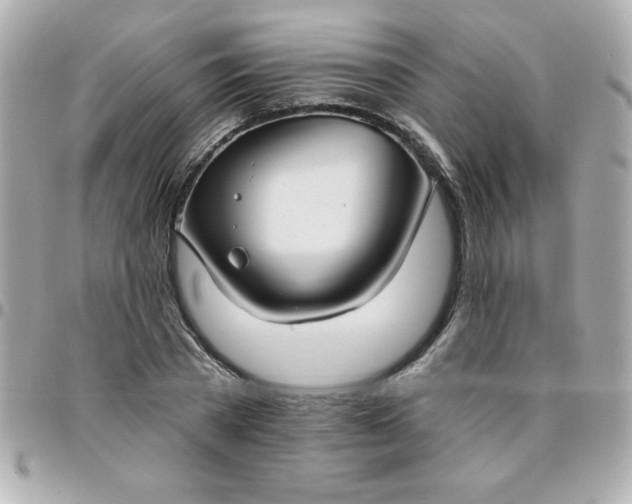 X0000096470785200802071855