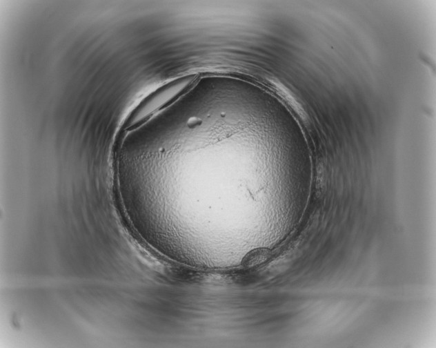 X0000096470787200802071855