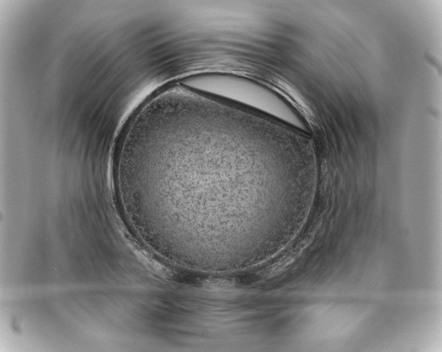 X0000096470788200802071855