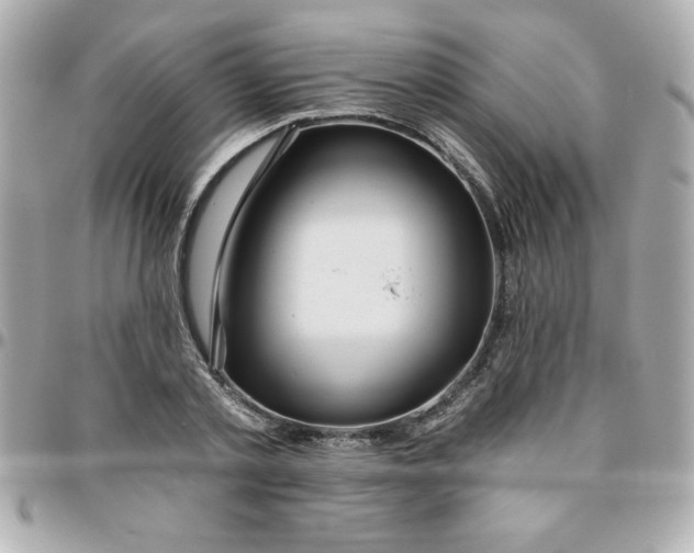 X0000096470789200802071855