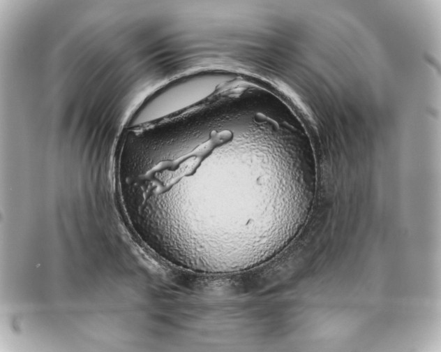 X0000096470791200802071855