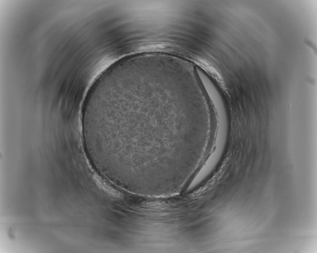 X0000096470792200802071855