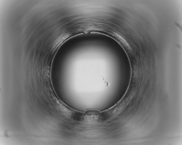 X0000096470793200802071855