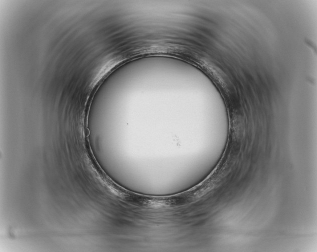 X0000096470794200802071855