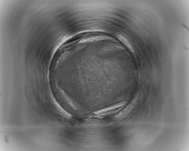 X0000096470797200802071855