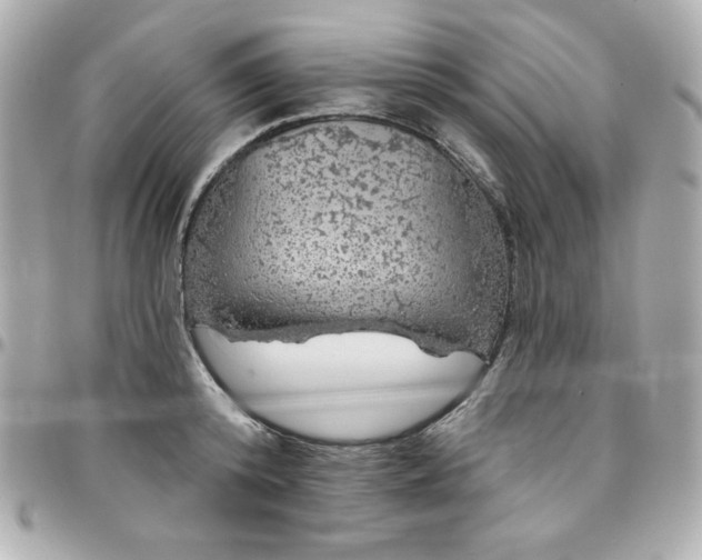 X0000096470800200802071855