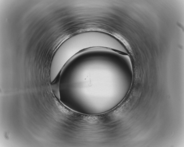 X0000096470801200802071855