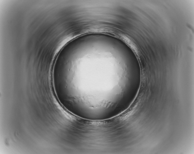 X0000096470803200802071855