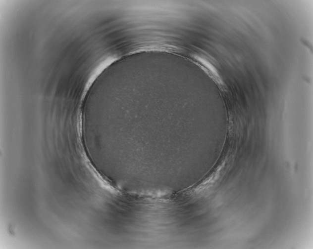 X0000096470804200802071855