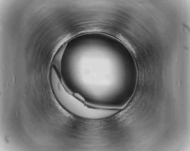 X0000096470805200802071855