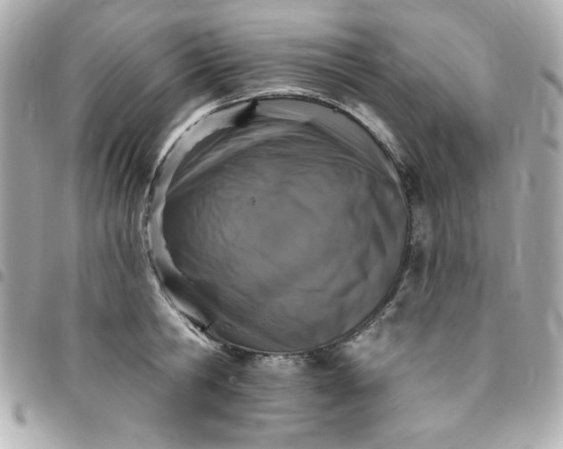 X0000096470806200802071855