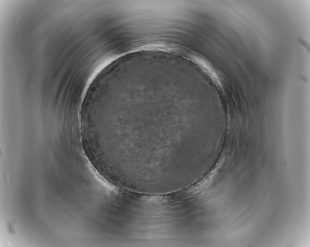 X0000096470808200802071855