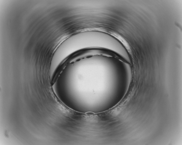 X0000096470809200802071855