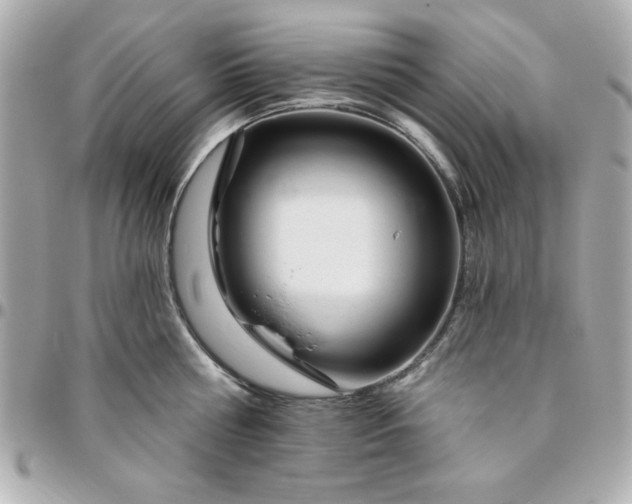 X0000096470810200802071855