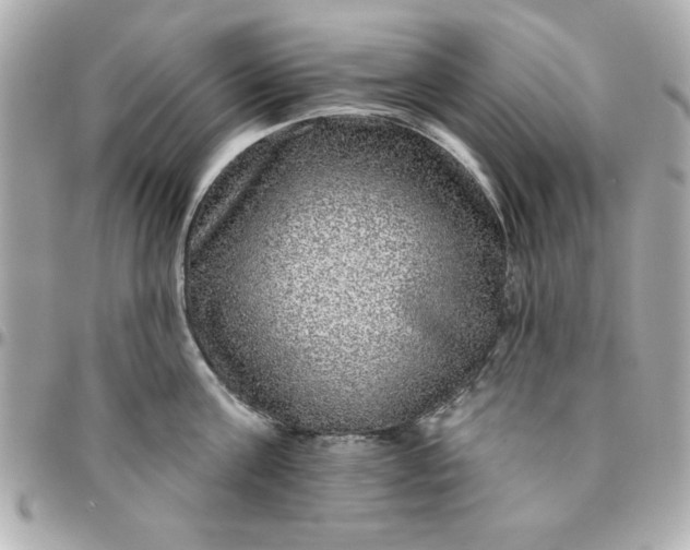 X0000096470811200802071855