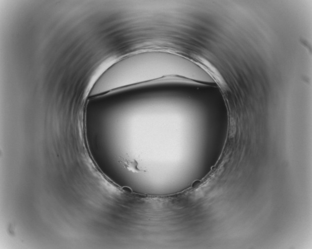 X0000096470812200802071855