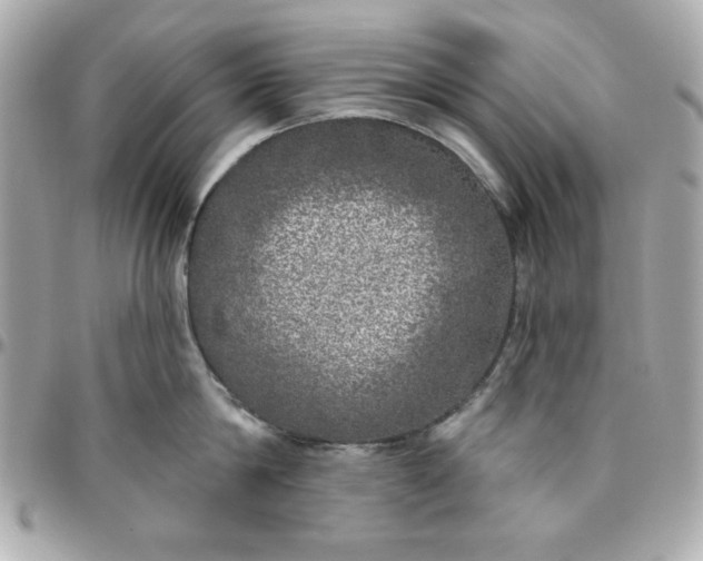 X0000096470814200802071855