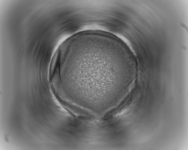 X0000096470815200802071855